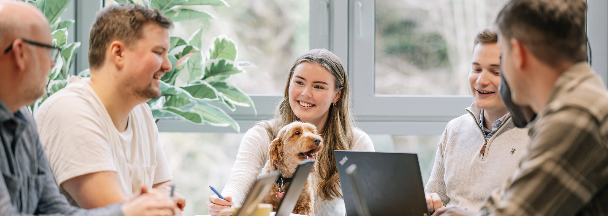 Trafsys web Copyright Cecilie Bannow 13 (3)